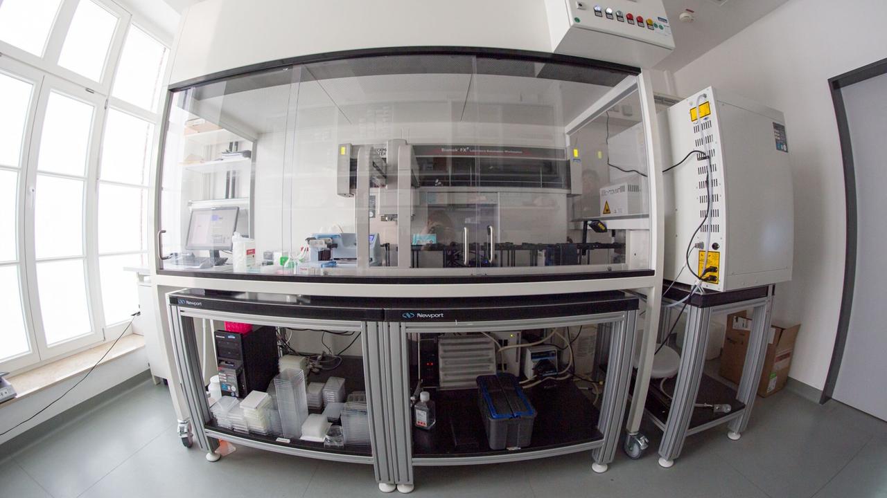 Mit einem Laborroboter wie diesem können Organoide standardisiert und in großer Zahl produziert werden. Mit einem Laborroboter wie diesem können Organoide standardisiert und in großer Zahl produziert werden.