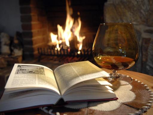 Ein aufgeschlagenes Buch, ein Cognac und im Hintergrund brennt ein Feuer im Kamin.