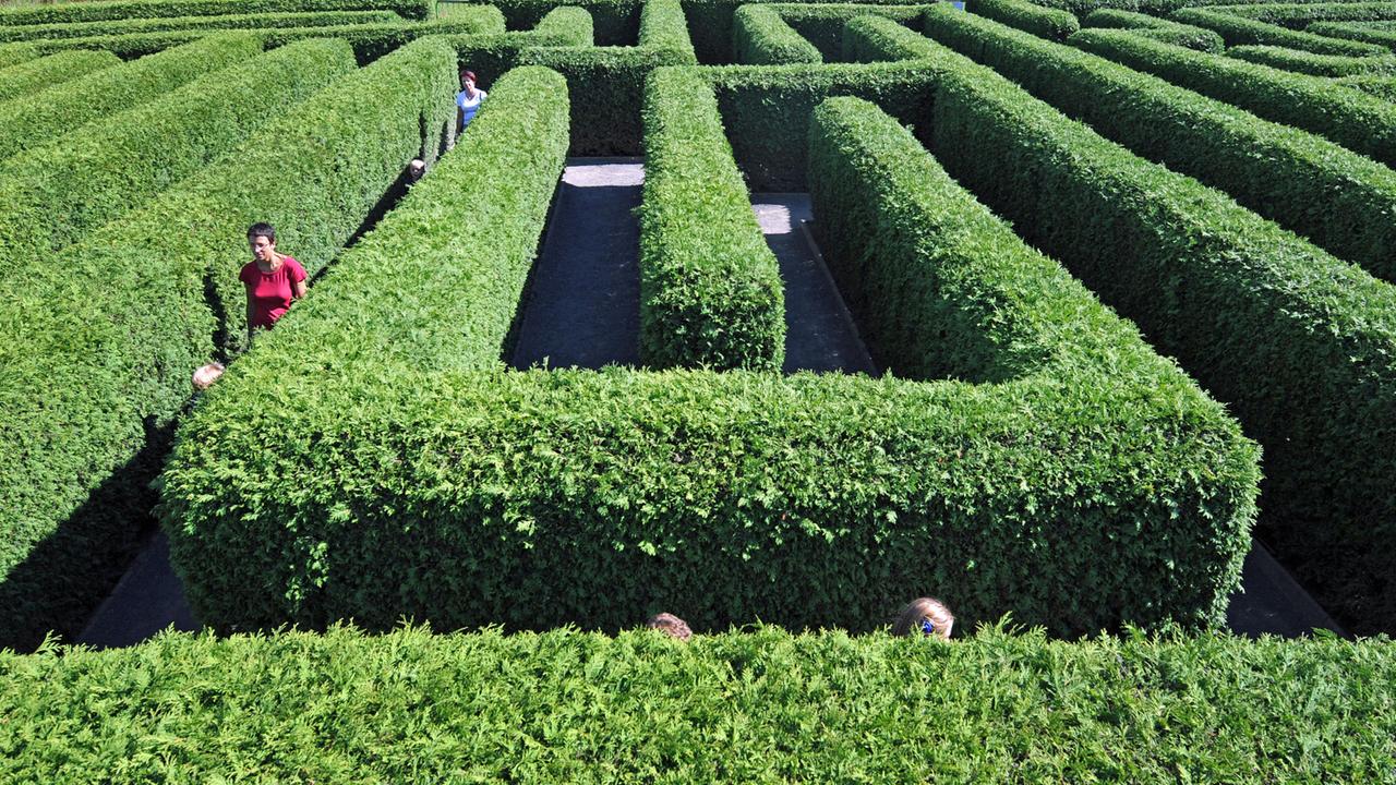 Ein Labyrinth aus einer mannshohen Hecke. Ein Labyrinth aus einer mannshohen Hecke.