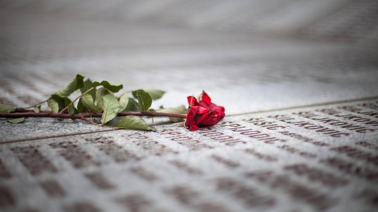 Eine rote Rose liegt auf einer Gedenktafel.