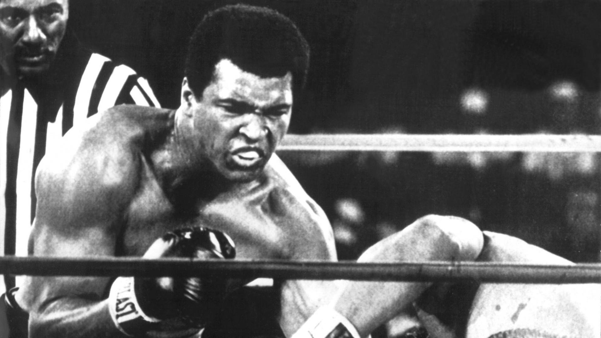 Muhammad Ali (l) holt sich mit einem K.o.-Sieg gegen George Foreman (r) am 30.10.1974 in Kinshasa (Zaire) den Titel des Boxweltmeisters im Schwergewicht zurück. Muhammad Ali (l) holt sich mit einem K.o.-Sieg gegen George Foreman (r) am 30.10.1974 in Kinshasa (Zaire) den Titel des Boxweltmeisters im Schwergewicht zurück.