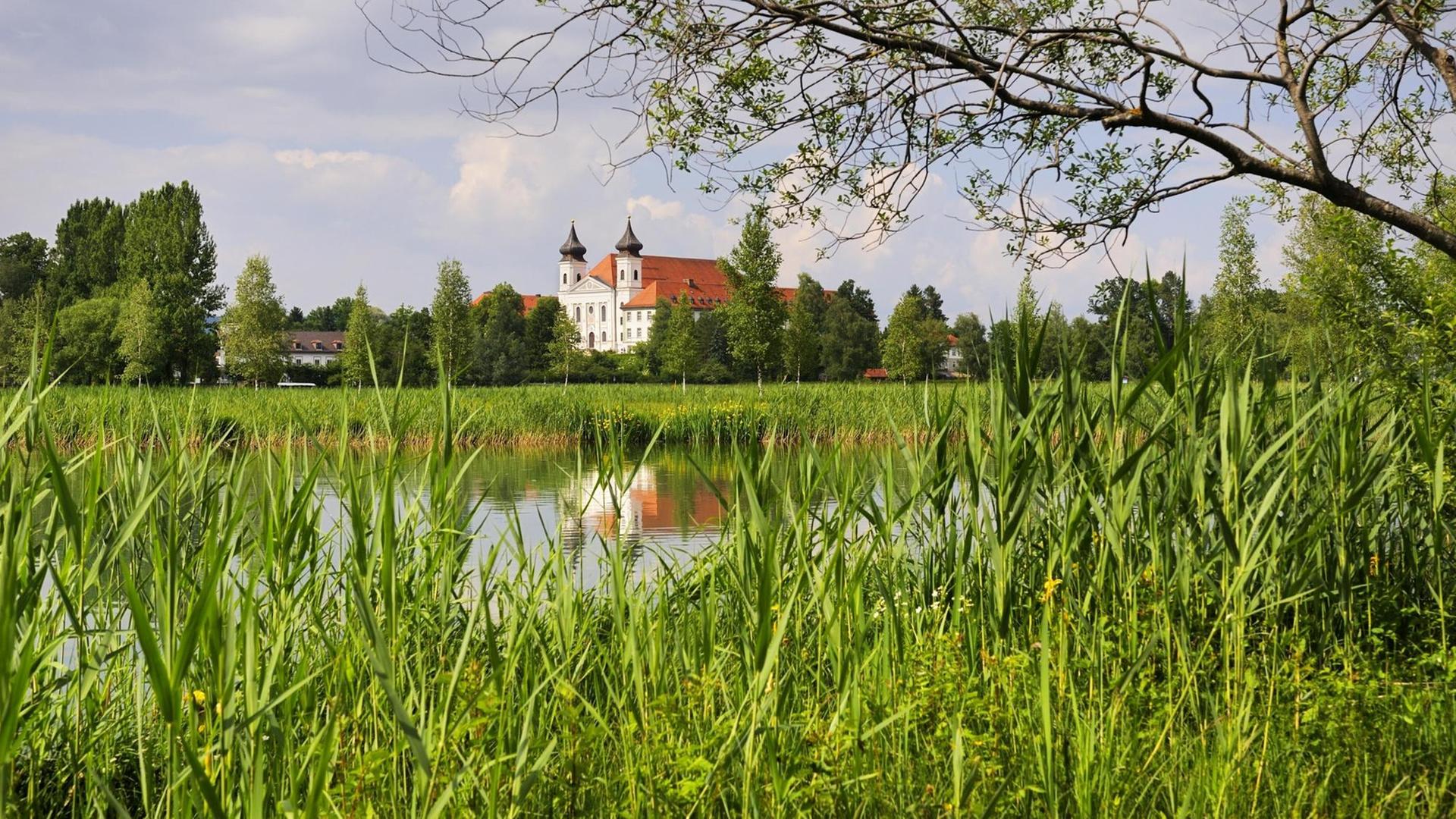 Blick über See und Schilf auf das Kloster Blick über See und Schilf auf das Kloster