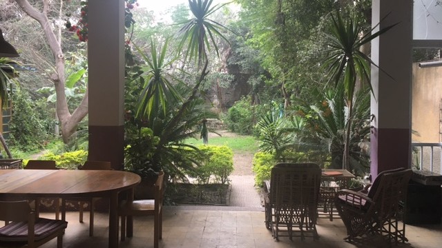 Blick in den Garten der Seemannsmission in Alexandria. Blick in den Garten der Seemannsmission in Alexandria.