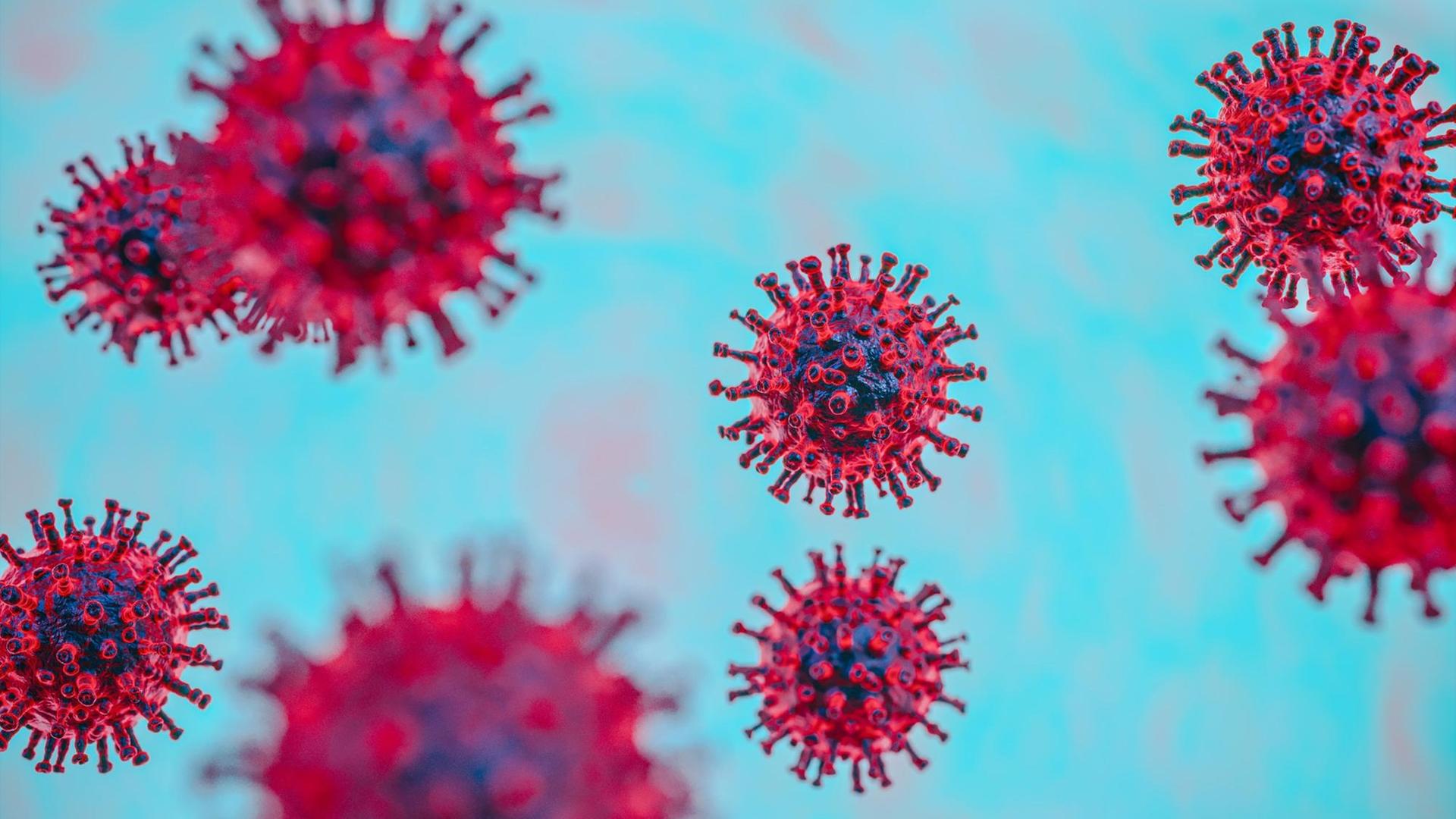 Das Coronavirus. Das Coronavirus.
