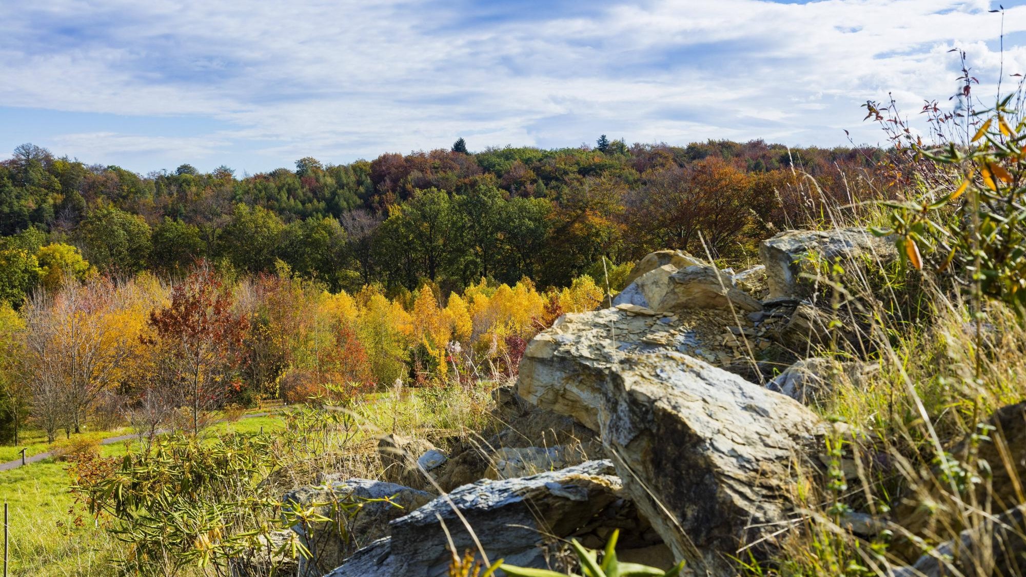 Die Waldretter von Tharandt in Sachsen Im ältesten forstbotanischen