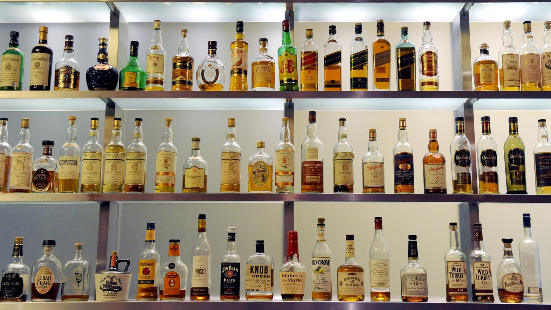 Alkoholflaschen stehen aufgereiht auf Regalen in einer Bar. Alkoholflaschen stehen aufgereiht auf Regalen in einer Bar.