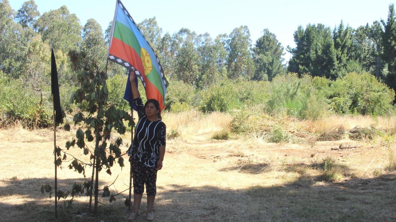 Hortensia Aniñir mit der Flagge der Mapuche - die Indigenen in Chile wollen ihr Land zurück. Hortensia Aniñir mit der Flagge der Mapuche - die Indigenen in Chile wollen ihr Land zurück.