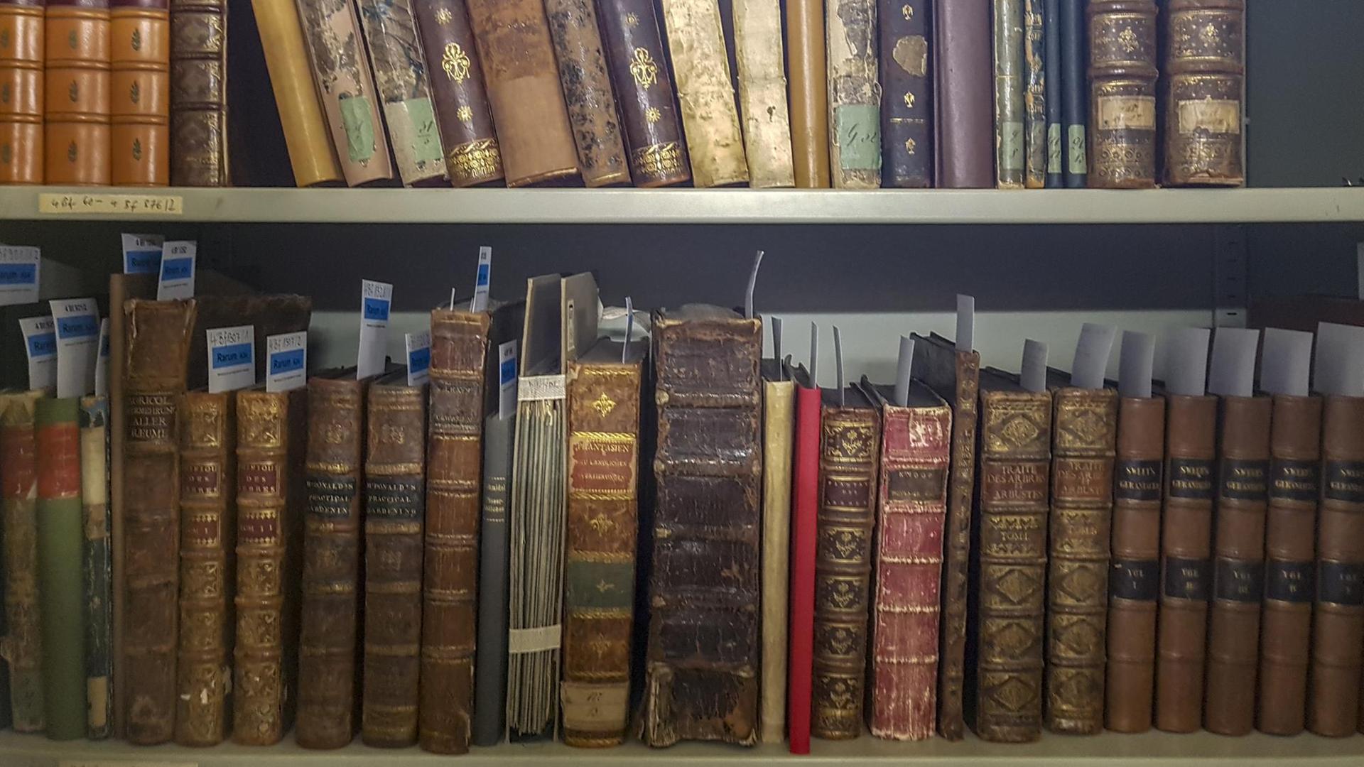 Bücher stehen in einem Regal in der deutschen Gartenbaubibliothek. Bücher stehen in einem Regal in der deutschen Gartenbaubibliothek.
