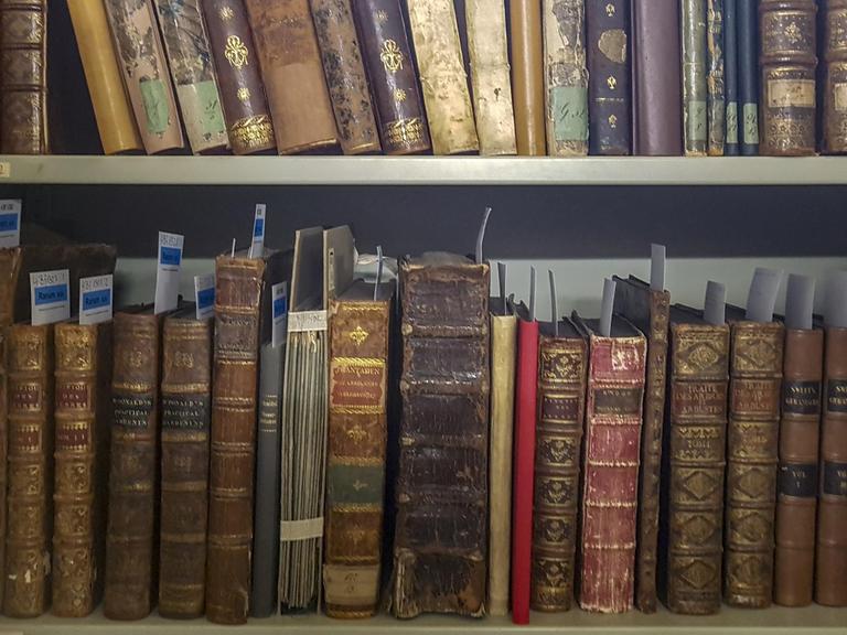 Bücher stehen in einem Regal in der deutschen Gartenbaubibliothek.