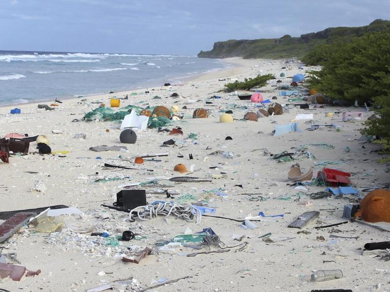 Auf dem Foto ist der Strand der unbewohnten Henderson-Insel zu sehen - verschmutzt durch angeschwemmten Plastikmüll.