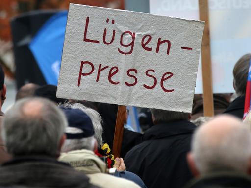 Anhänger der Alternative für Deutschland (AfD) demonstrieren in Rostock gegen die deutsche Asylpolitik, auf einem Schild steht "Lügenpresse".
