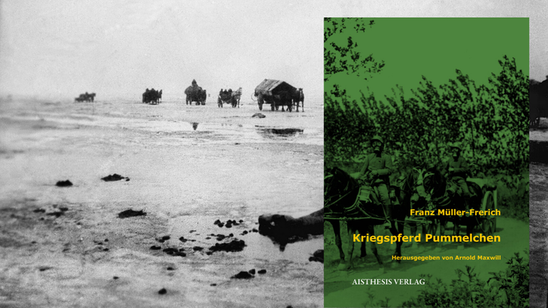 Franz Müller-Frerich: „Kriegspferd Pummelchen“ Franz Müller-Frerich: „Kriegspferd Pummelchen“