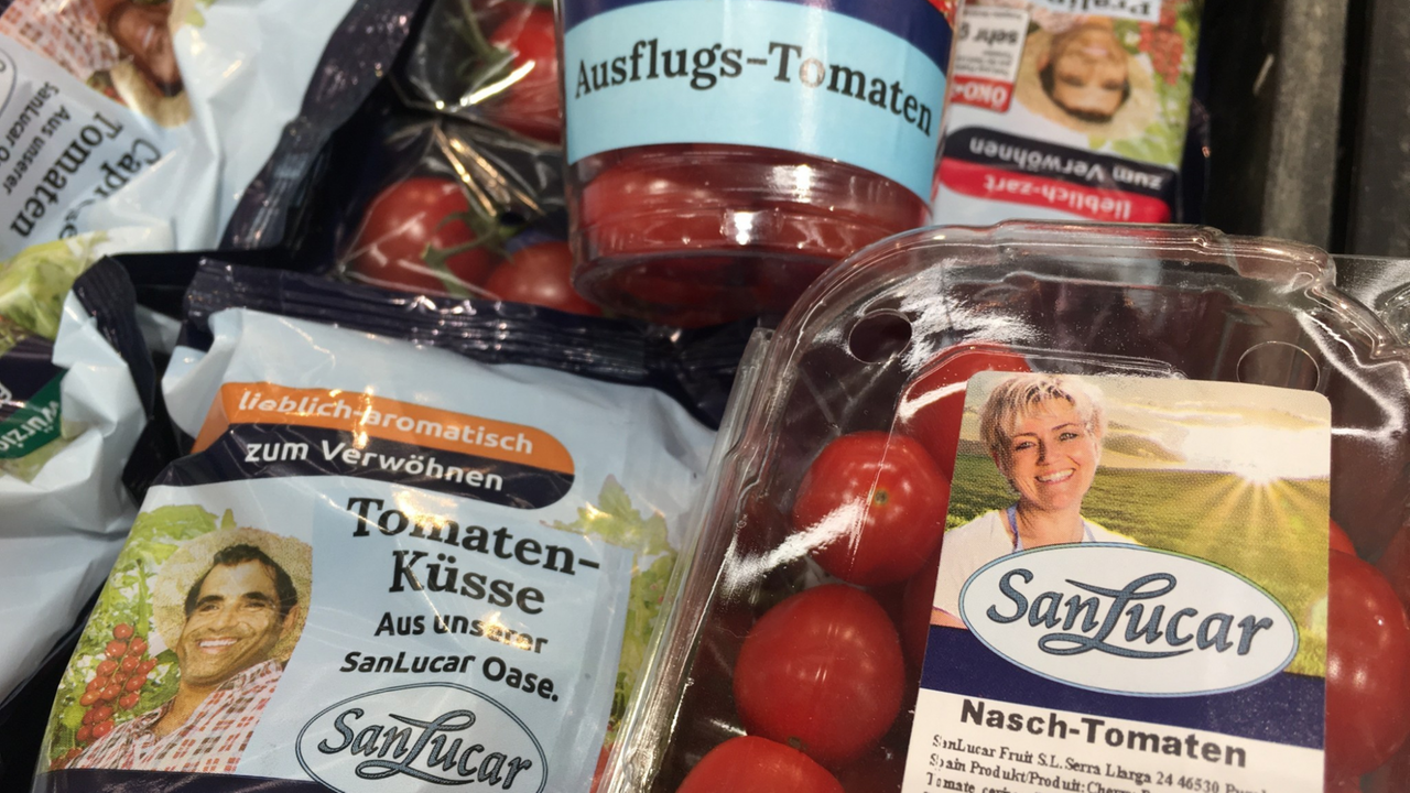 Tomaten aus den Niederlanden im Supermarkt Tomaten aus den Niederlanden im Supermarkt
