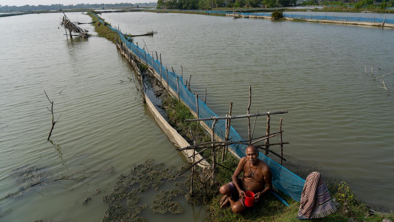 Shrimp-Farmer Ananda Biswas sitzt vor einem ins Wasser hineinragenden Steg mit Netzen an der Seite Shrimp-Farmer Ananda Biswas sitzt vor einem ins Wasser hineinragenden Steg mit Netzen an der Seite