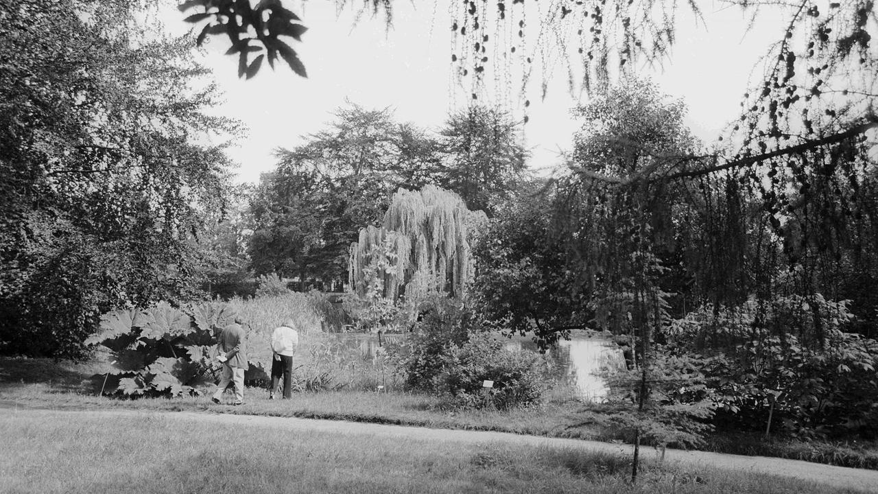 Zwei Spaziergänger stehen am Teich im Späth-Arboretum. Zwei Spaziergänger stehen am Teich im Späth-Arboretum.