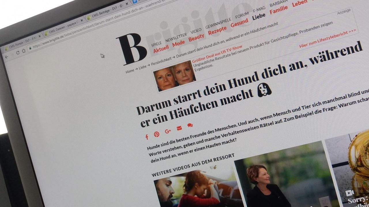 Darum starrt dein Hund dich an, während er ein Häufchen macht: So lautet die Überschrift eines Artikels auf "Brigitte"-Online. Darum starrt dein Hund dich an, während er ein Häufchen macht: So lautet die Überschrift eines Artikels auf "Brigitte"-Online.
