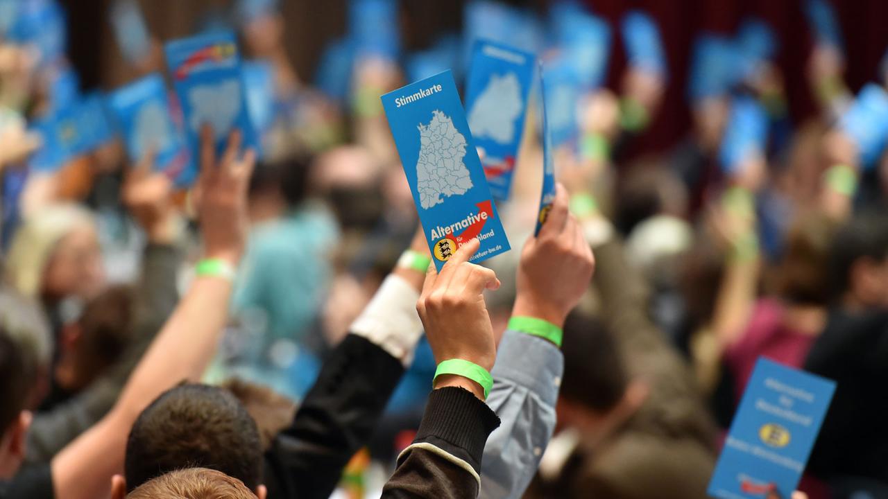 Landesparteitag der Alternative für Deutschland (AfD) Baden-Württemberg in Karlsruhe am 17.1.2015 Landesparteitag der Alternative für Deutschland (AfD) Baden-Württemberg in Karlsruhe am 17.1.2015