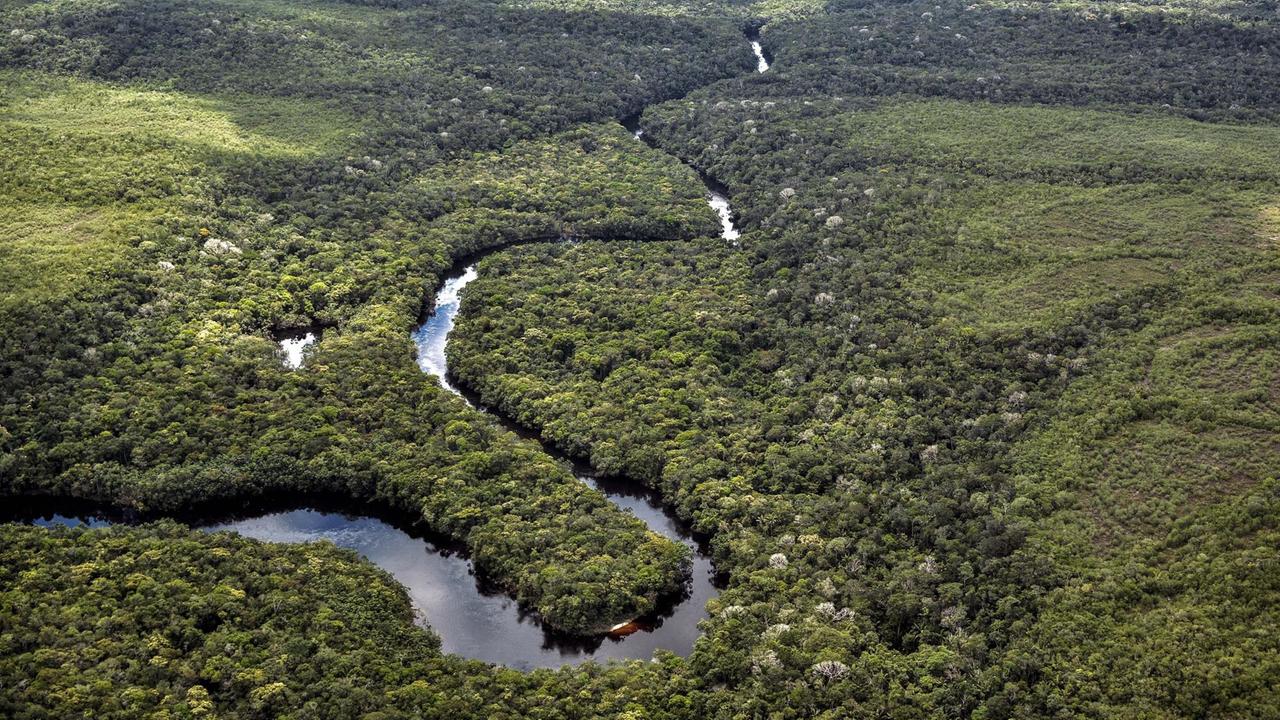 Der Nationalpark Serrania de Chiribiquete in Kolumbien mit dem Amazonas Der Nationalpark Serrania de Chiribiquete in Kolumbien mit dem Amazonas
