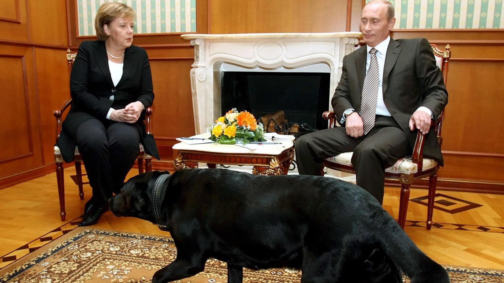 Angela Merkel, Wladimir Putin und ein Labrador.