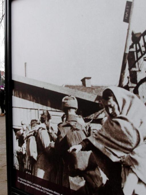 Besucher der Gedenkstätte des ehemaligen deutschen Konzentrations- und Vernichtungslagers Auschwitz-Birkenau betrachten am 71. Jahrestag der Befreiung des Lagers Bilder von "Marsch der Lebenden".