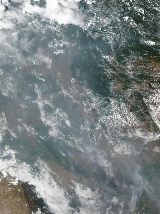 Satellitenaufnahme von Bränden in Brasilien