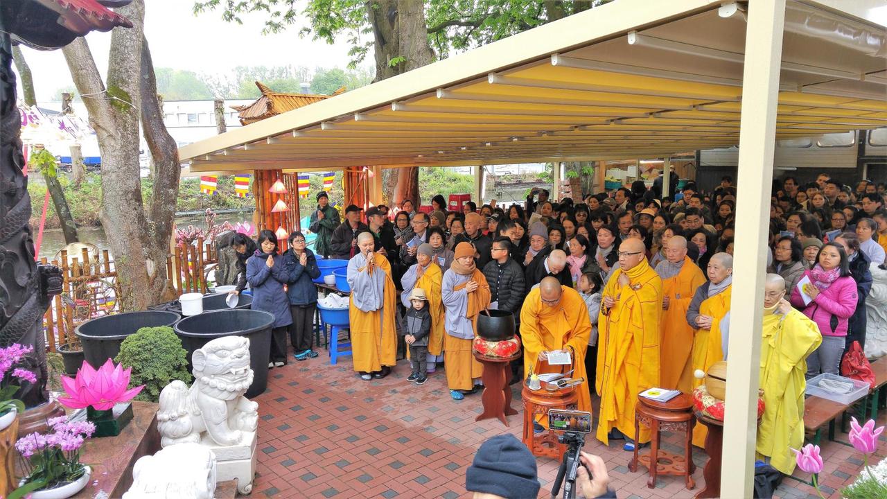 Zeremonie der Lebensspende im Garten der Pagode mit Gastmönchen aus Frankreich: die Fische werden in die Freiheit entlassen