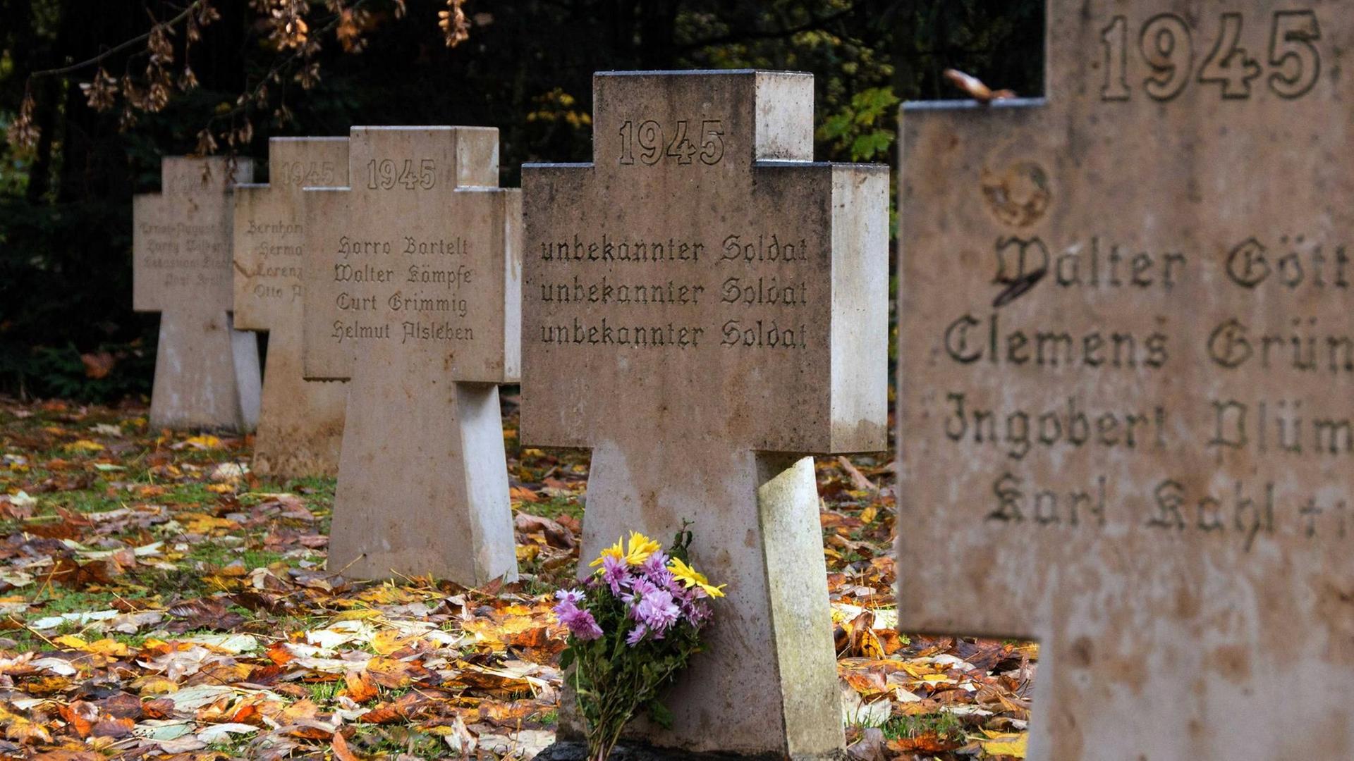 Eine Kriegsgräberstätte auf dem Westfriedhof in Magdeburg (Sachsen-Anhalt), aufgenommen am 07.11.2016. Der Volkstrauertag wird in Deutschland seit 1952 zwei Sonntage vor dem ersten Advent begangen. Er erinnert an Opfer von Gewaltherrschaften und Kriegstote aller Nationen.