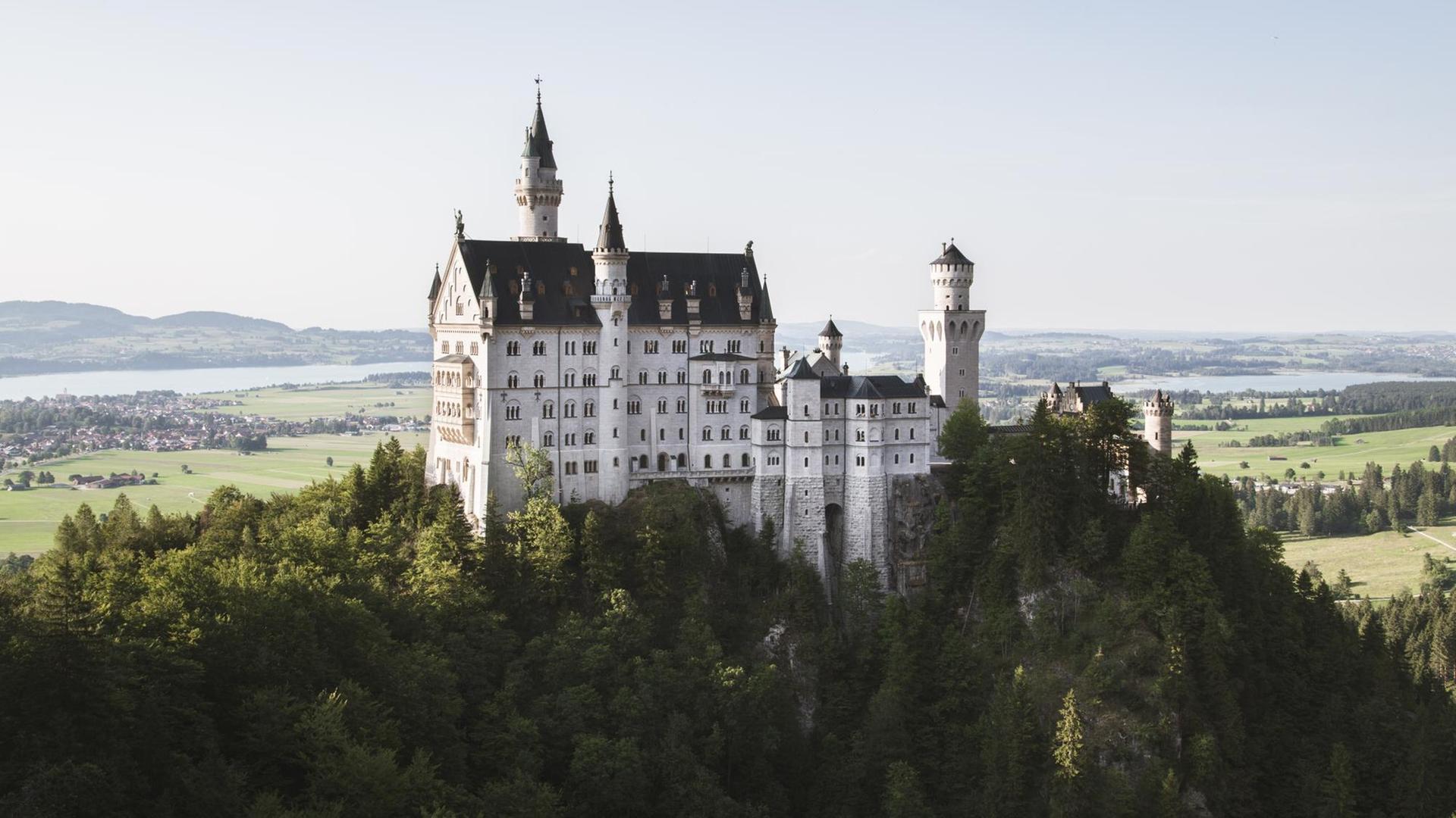 Das weiß getünchte Schloss Neuschwanstein steht auf einem bewaldeten Felsen.