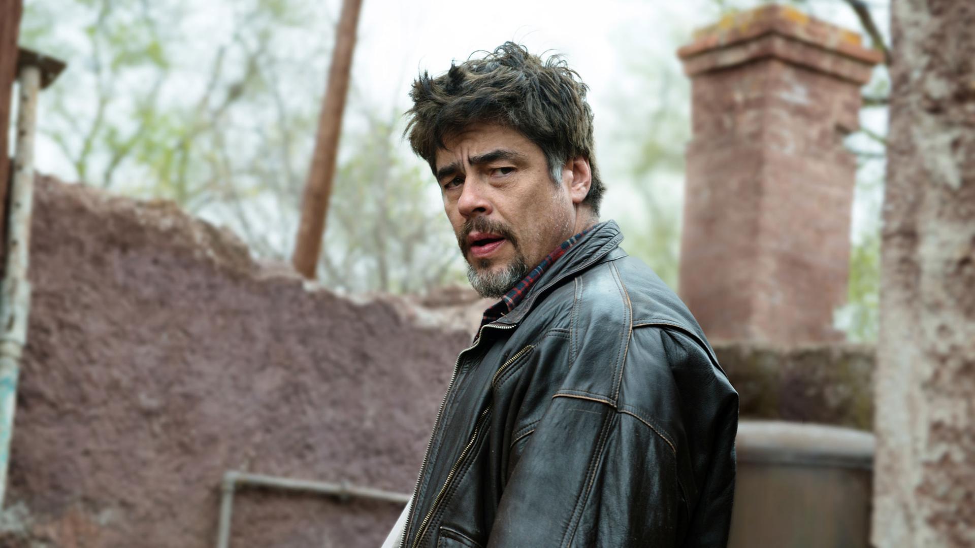 Der puerto-ricanische Schauspieler.Benicio del Toro als Mambrú in einer Szene des Kinofilms "A Perfect Day" von Fernando León de Aranoa Der puerto-ricanische Schauspieler.Benicio del Toro als Mambrú in einer Szene des Kinofilms "A Perfect Day" von Fernando León de Aranoa