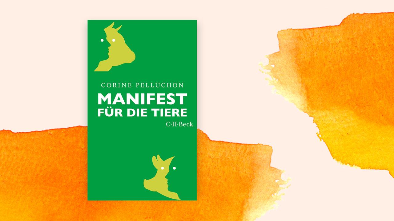 Das Cover von Corine Peluchons Buch "Manifest für die Tiere" auf orange-weißem Grund. 