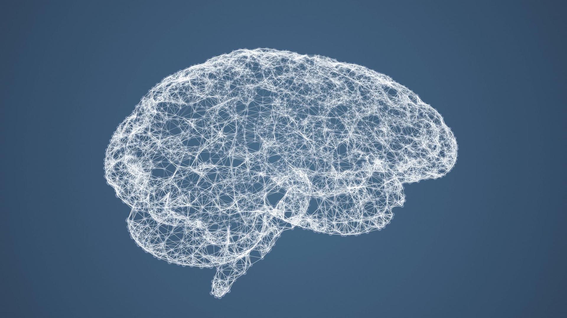 Computerzeichnung eines menschlichen Gehirns