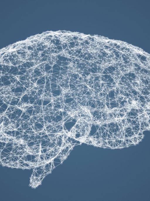 Computerzeichnung eines menschlichen Gehirns