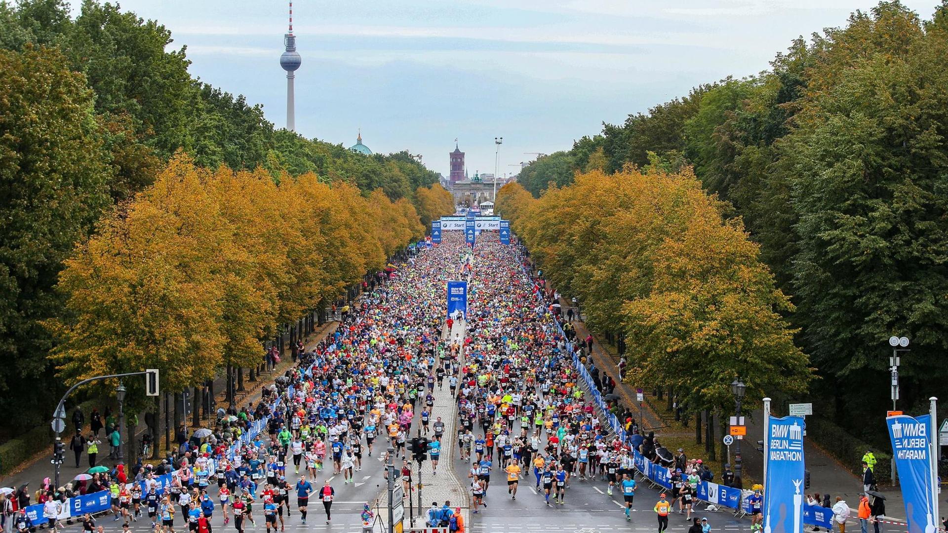 Auf Straße des 17. Juni in Berlin von derSiegessäule aus, ein Blick über das Läuferfeld. Auf Straße des 17. Juni in Berlin von derSiegessäule aus, ein Blick über das Läuferfeld.