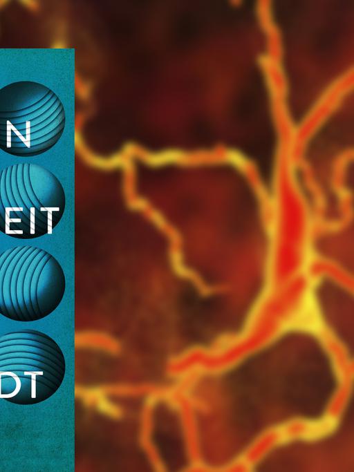 Im Vordergrund das Cover von Siri Hustvedts "Illusion der Gewissheit", im Hintergrund die Illustration der Degeneration eines Neurons.