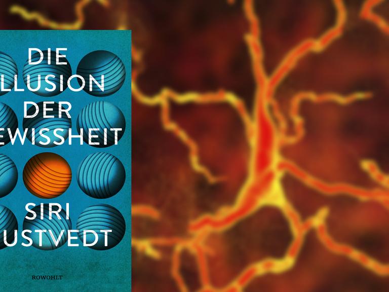 Im Vordergrund das Cover von Siri Hustvedts "Illusion der Gewissheit", im Hintergrund die Illustration der Degeneration eines Neurons.