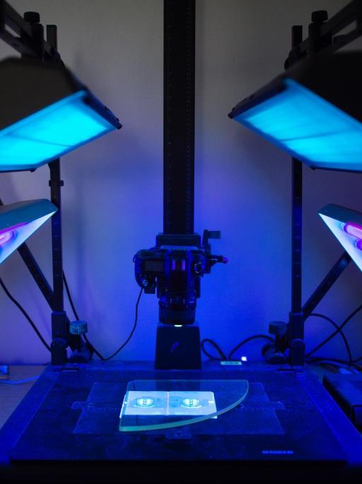 Ein Ausweis liegt in einem Labor der Kriminaltechnik in einer Vorrichtung zum Fotografieren von Ausweisen unter UV-Licht-Bestrahlung. Durch die Ultraviolettstrahlung werden bei einem echten Ausweis spezielle Sicherheitsmerkmale sichtbar.