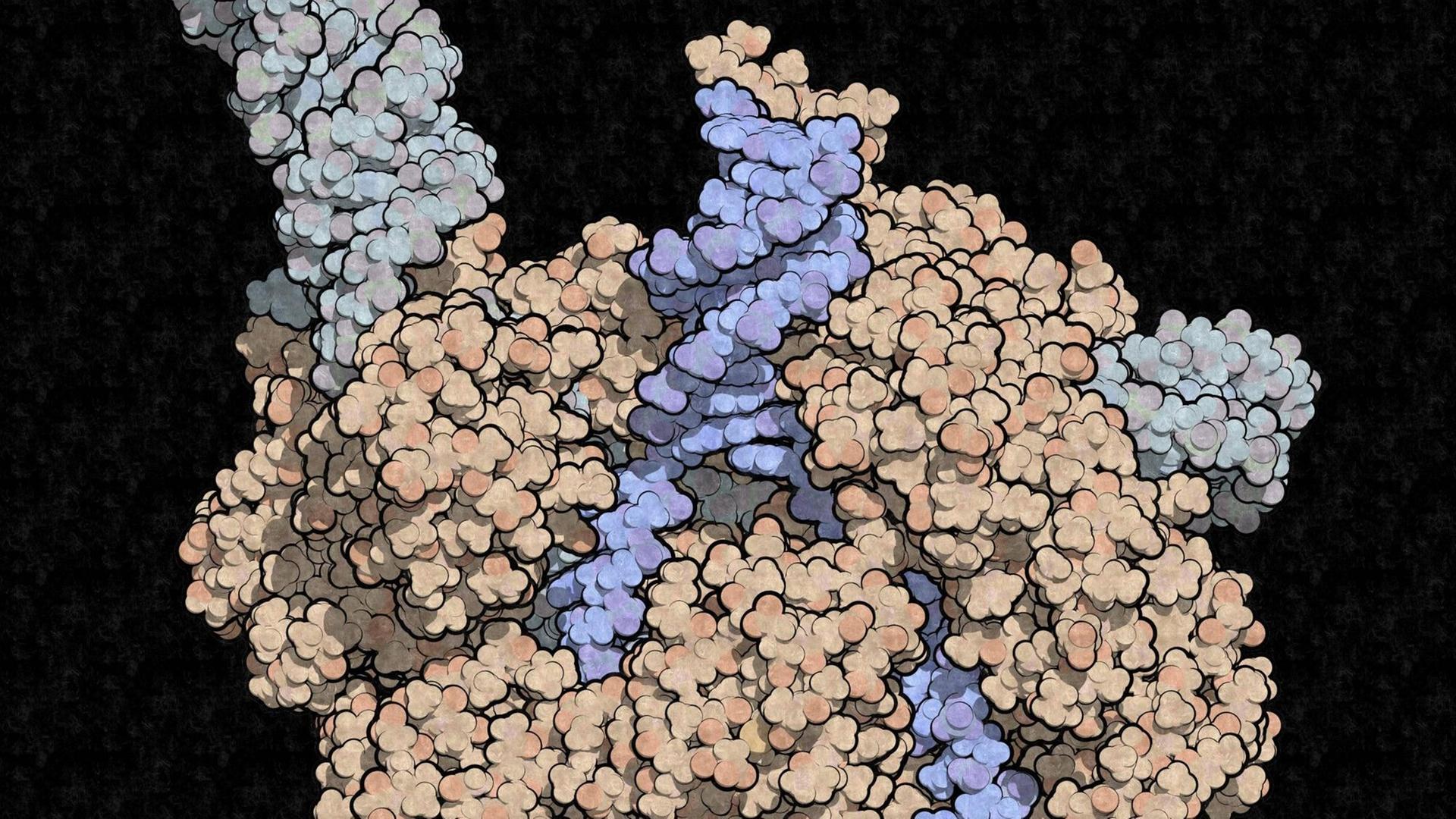 CRISPR CAS9 beim Bearbeiten von DNA CRISPR CAS9 beim Bearbeiten von DNA