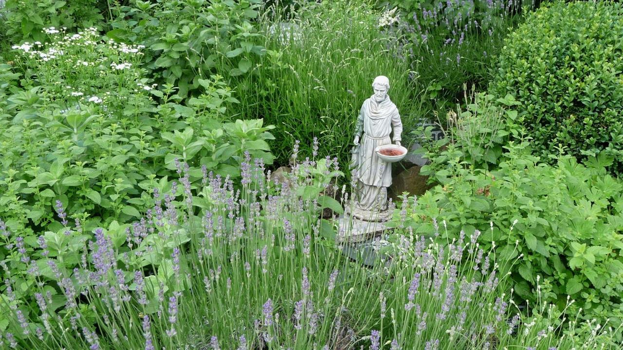Eine kleine Moenchsfigur aus Stein steht im Klosterkraeutergarten von Kloster Oberzell in Zell am Main (Bayern), aufgenommen am 07.06.2017. Eine kleine Moenchsfigur aus Stein steht im Klosterkraeutergarten von Kloster Oberzell in Zell am Main (Bayern), aufgenommen am 07.06.2017.