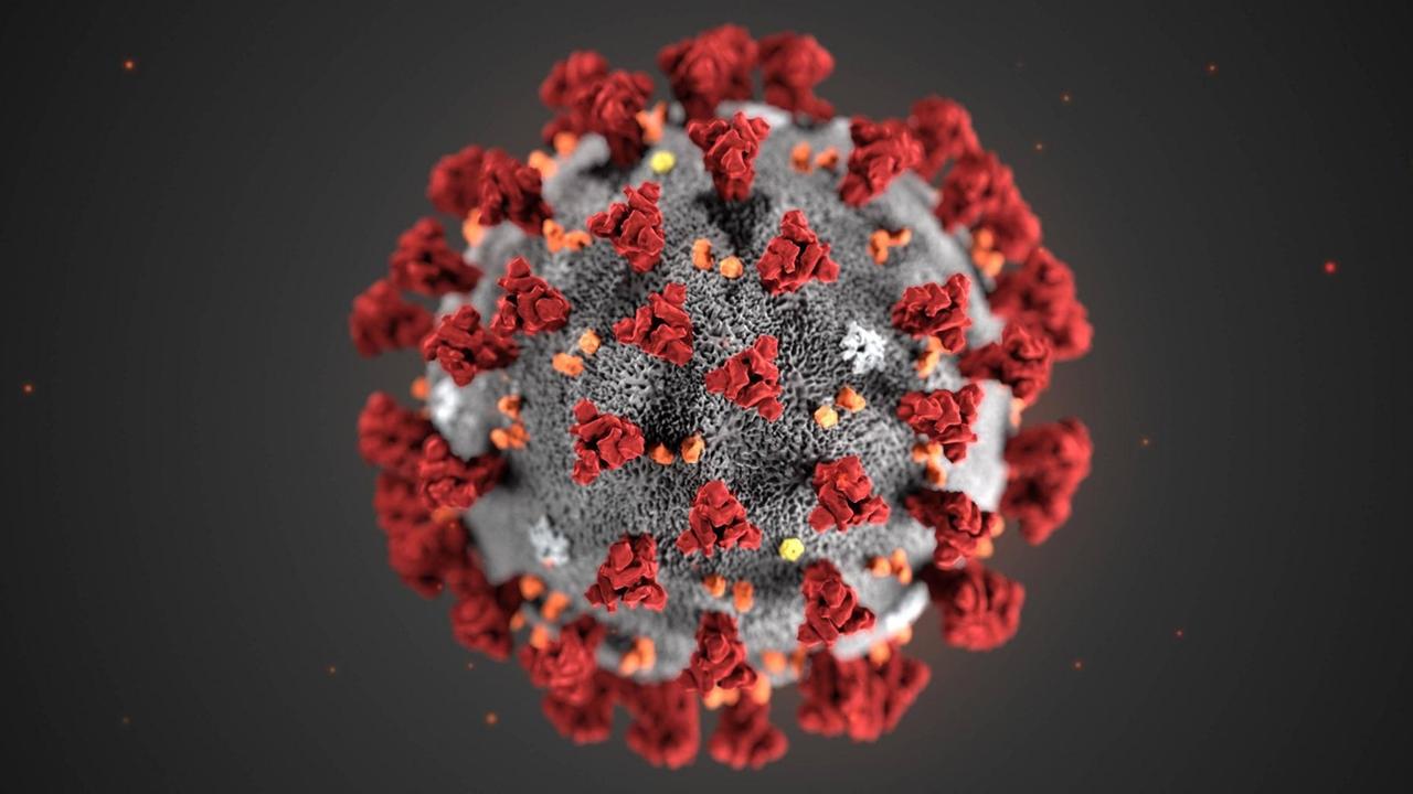 Eine Illustration des Corona-Virus. Eine Illustration des Corona-Virus.