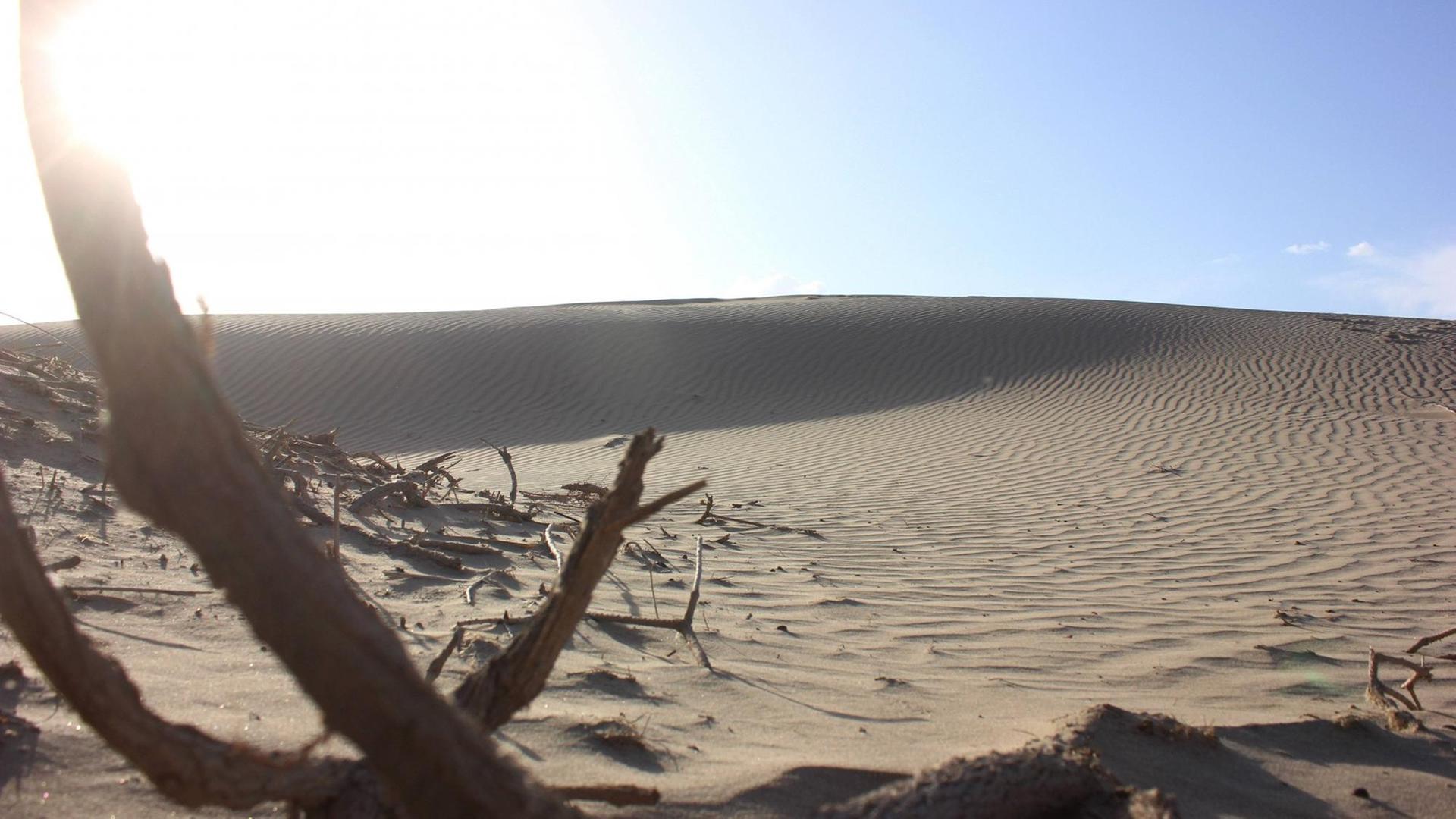 Wüsten-Nationalpark in der Taklamakan-Wüste in China. Im Osten schließt sich die Wüste Gobi an.