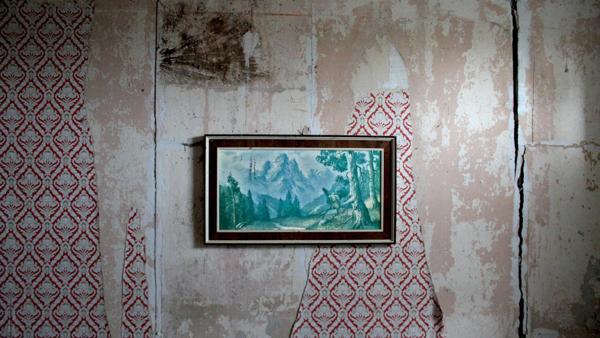 Auerhähne röhren auch /creative *** Grouse roar also creative PUBLICATIONxINxGERxSUIxAUTxONLY photocase_1673403 Auerhähne röhren auch /creative *** Grouse roar also creative PUBLICATIONxINxGERxSUIxAUTxONLY photocase_1673403