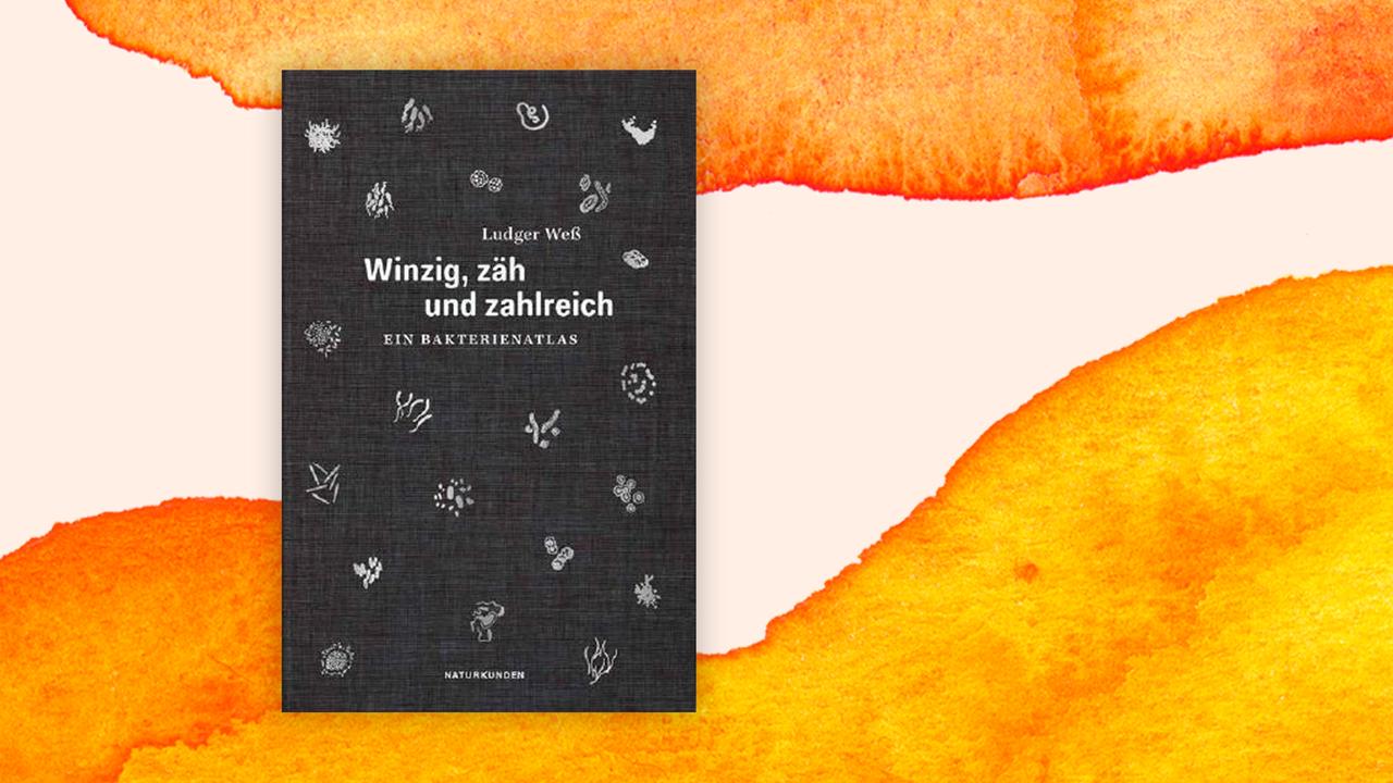 Buchcover von Ludger Weß "Winzig, zäh und zahlreich" Ein Bakterienatlas, vor einem Aquarell-Hintergrund