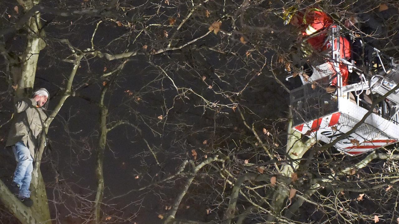 Ein Flüchtling ruft von einem Baum am Sendlinger Tor in München. Ein Flüchtling ruft von einem Baum am Sendlinger Tor in München.