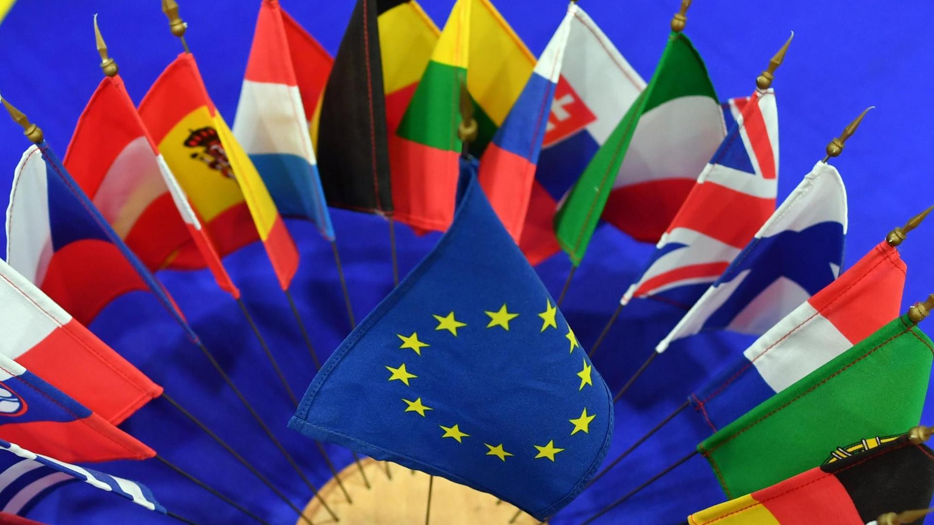Die Flaggen der Mitgliedsstaaten der EU sind zusammen mit der EU-Flagge auf einem Tisch im Europäischen Informationszentrum aufgestellt, fotografiert am 08.02.2017 in Erfurt (Thüringen). Foto: Jens Kalaene/dpa-Zentralbild/ZB | Verwendung weltweit Die Flaggen der Mitgliedsstaaten der EU sind zusammen mit der EU-Flagge auf einem Tisch im Europäischen Informationszentrum aufgestellt, fotografiert am 08.02.2017 in Erfurt (Thüringen). Foto: Jens Kalaene/dpa-Zentralbild/ZB | Verwendung weltweit