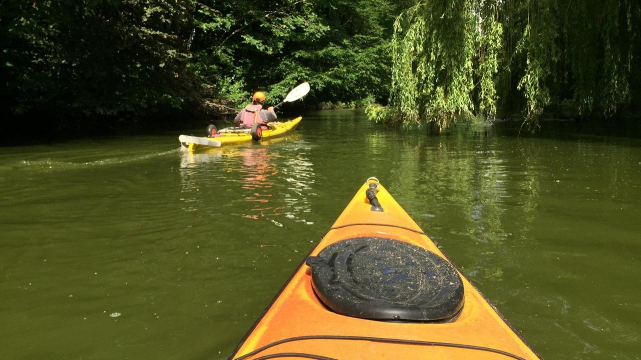 Im Vordergrund die Spitze eines Paddelbootes auf einem Fluss. An beiden Ufern ragen grüne Bäume über das Wasser. Im Vordergrund die Spitze eines Paddelbootes auf einem Fluss. An beiden Ufern ragen grüne Bäume über das Wasser.