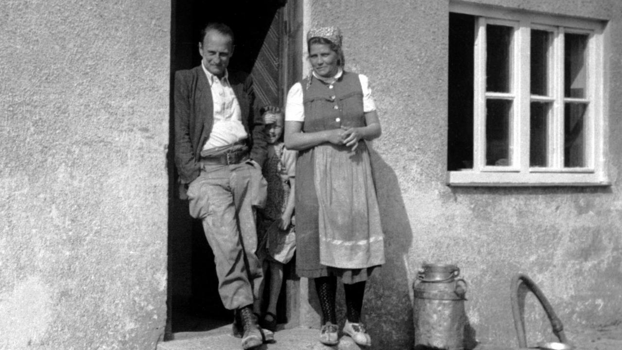 Die Scheringer Saga (1/2) Grüner Baum auf rotem Grund