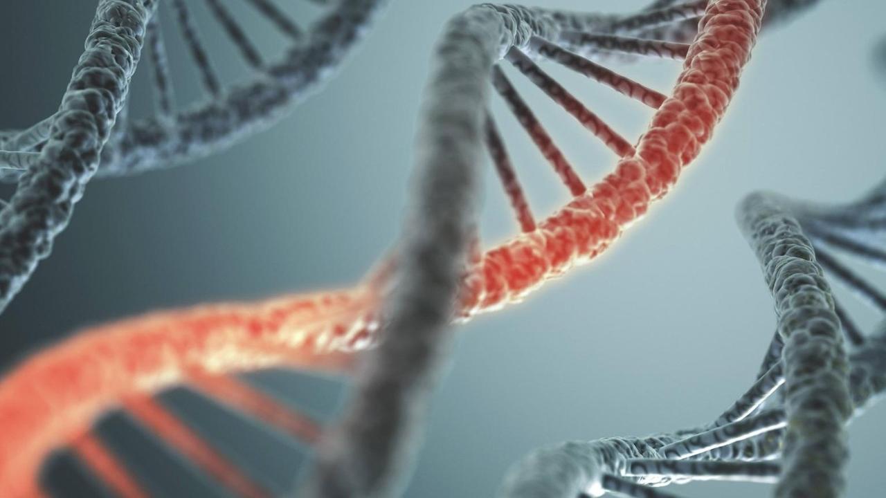 DNA-Strang DNA-Strang