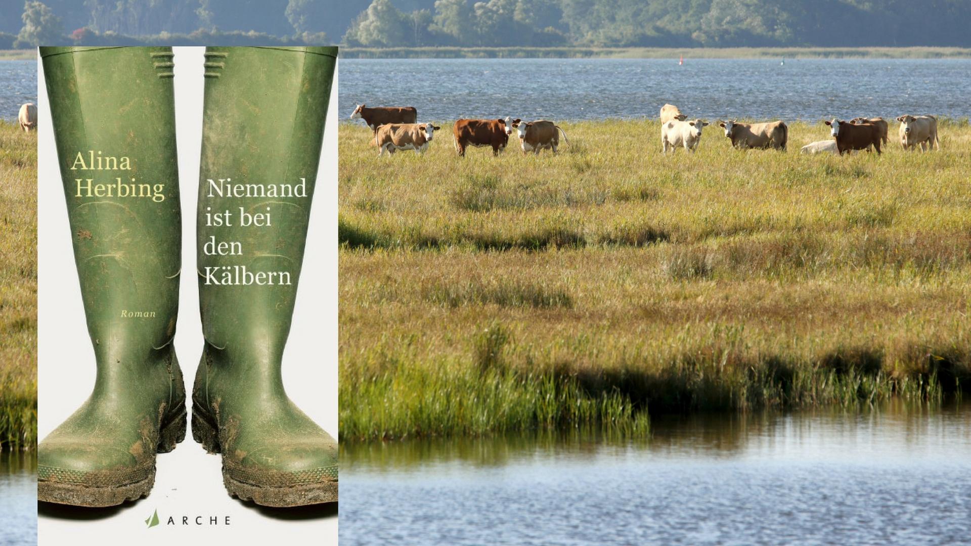 Buchcover "Niemand ist bei den Kälbern" von Alina Herbing Buchcover "Niemand ist bei den Kälbern" von Alina Herbing
