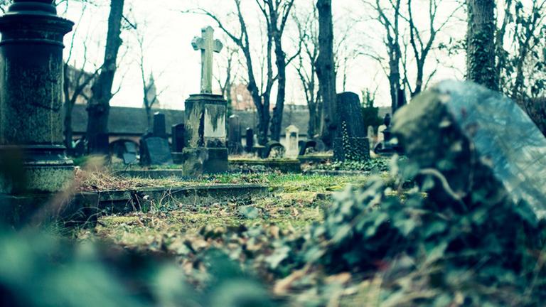 Blick auf einen Friedhof Blick auf einen Friedhof