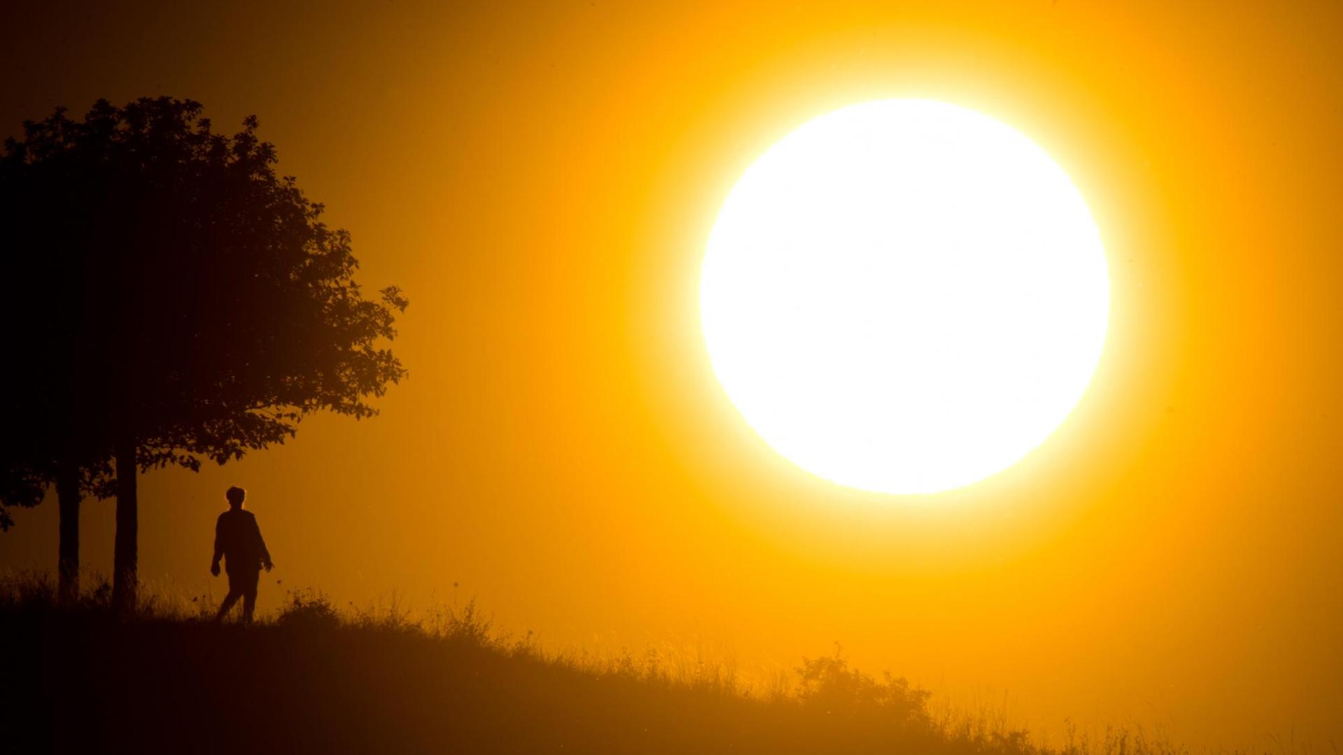 Eine Spaziergängerin steht vor der untergehenden Sonne am Kronsberg bei Hannover Eine Spaziergängerin steht vor der untergehenden Sonne am Kronsberg bei Hannover